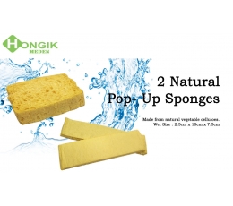 Bọt biển thấm nước cho cọ Pop-up Sponge